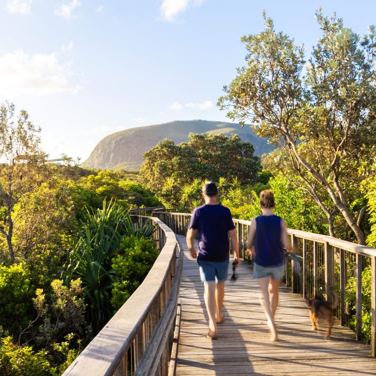 Mount Coolum Image 5794HR